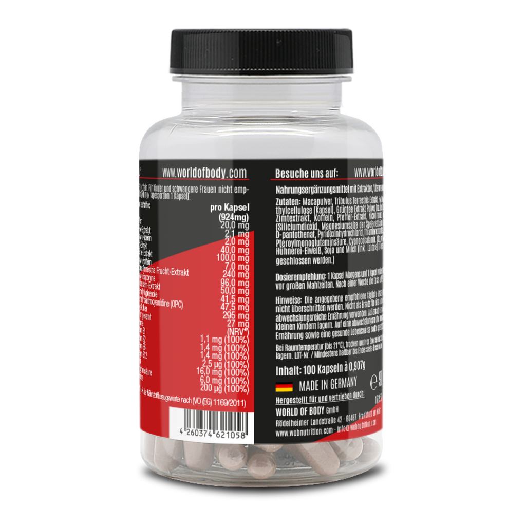 TESTO- BURNER WOB NUTRITION BACK 