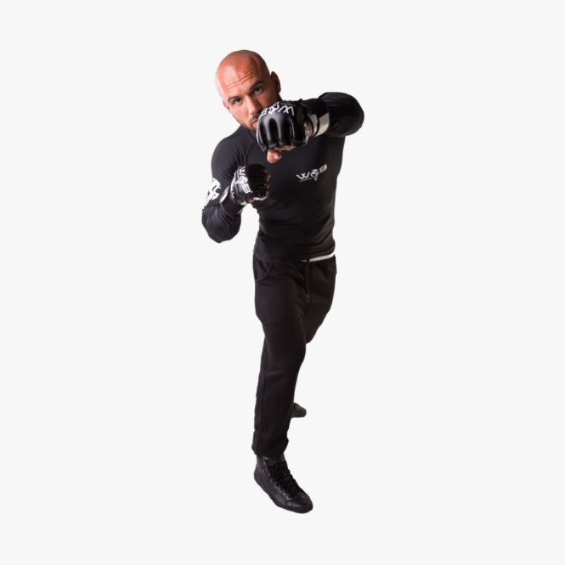 MMA BOXHANDSCHUHE LEDER