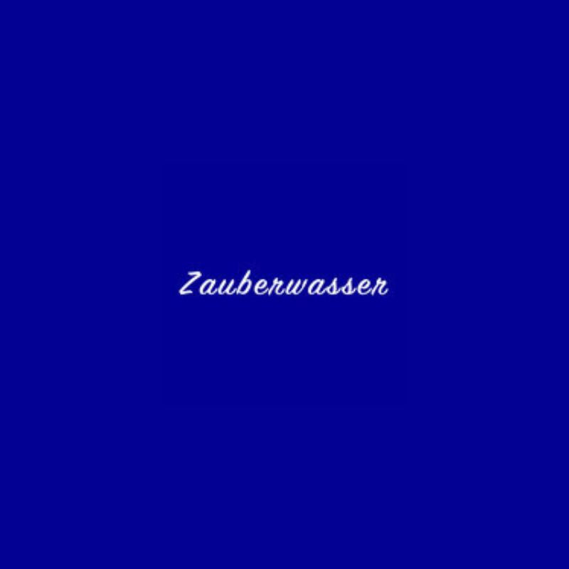 ENERGETISIERENDE GLASFLASCHE | TRINKFLASCHE | STRUKTURIERTES WASSER | 2 LITER | 5 LITER | INDIVIDUELLE GRAVUREN